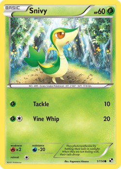 Carte Pokémon: Snivy