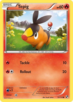 Carte Pokémon: Tepig