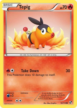 Carte Pokémon: Tepig
