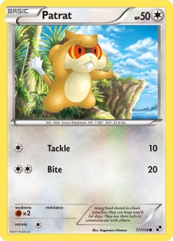 Carte Pokémon: Patrat