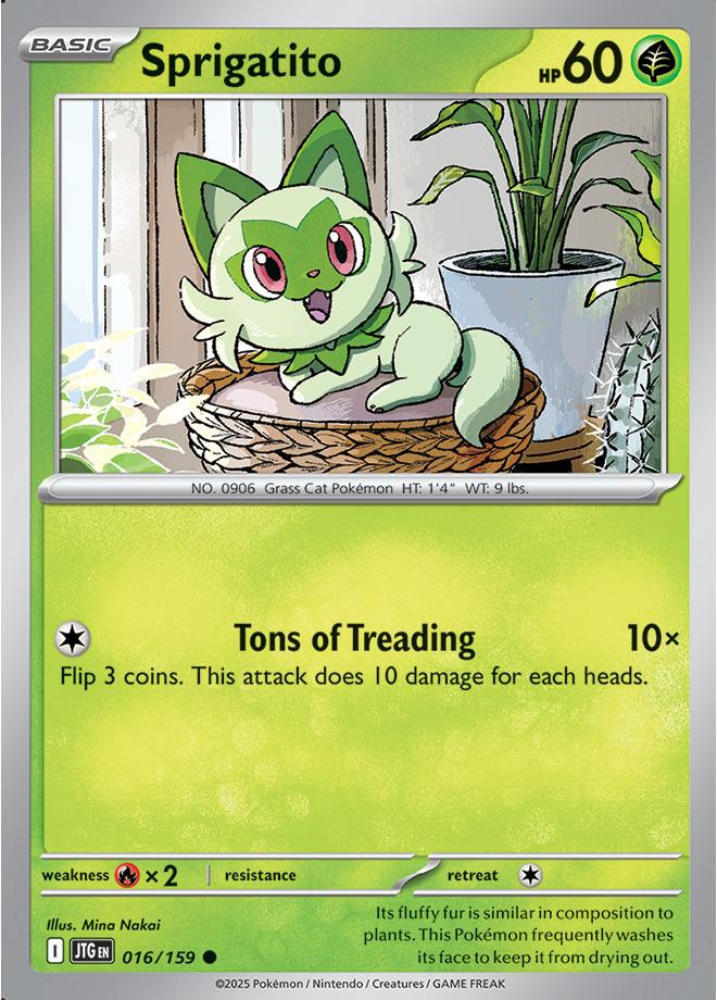 Carte Pokémon: Sprigatito [Poussacha]