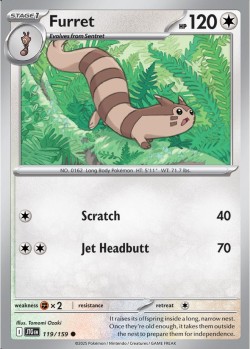 Carte Pokémon: Furret