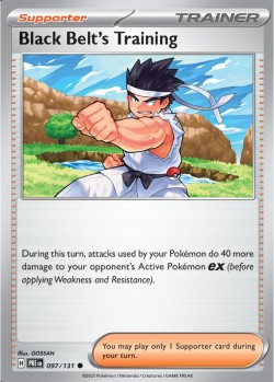 Carte Pokémon: Black Belt's Training