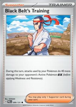 Carte Pokémon: Black Belt's Training