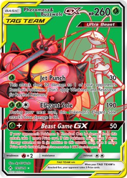 Carte Pokémon: Pheromosa & Buzzwole GX