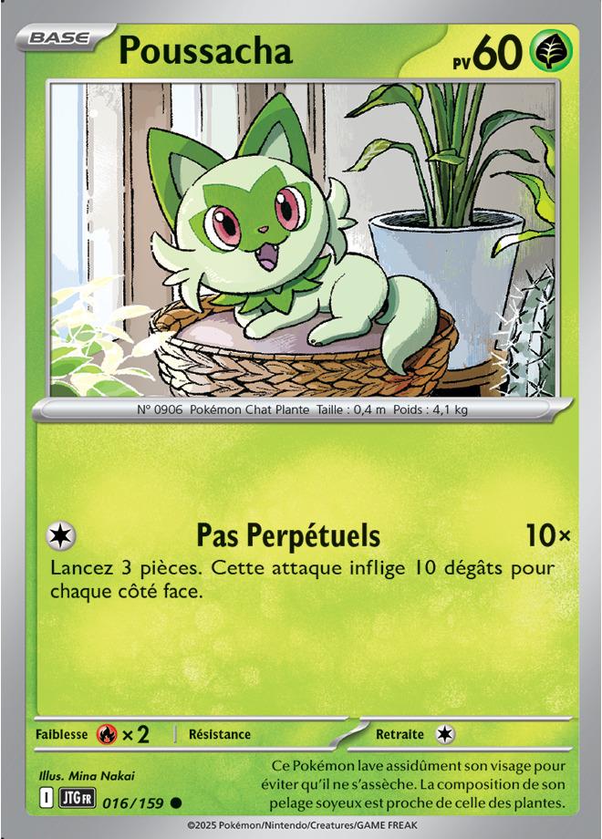 Carte Pokémon: Poussacha