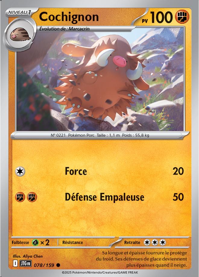 Carte Pokémon: Cochignon