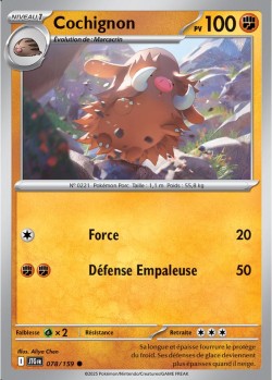 Carte Pokémon: Cochignon