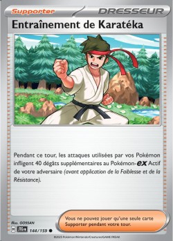 Carte Pokémon: Entraînement de Karatéka
