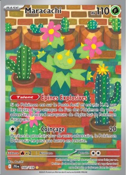 Carte Pokémon: Maracachi