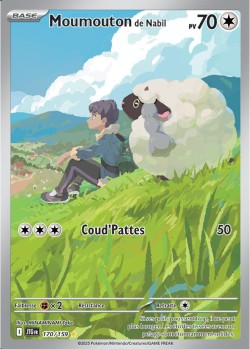 Carte Pokémon: Moumouton de Nabil