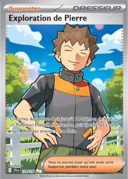 Carte Pokémon: Exploration de Pierre