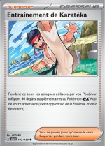 Carte Pokémon: Entraînement de Karatéka