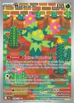 Carte Pokémon: Maracachi