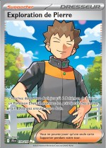 Carte Pokémon: Exploration de Pierre