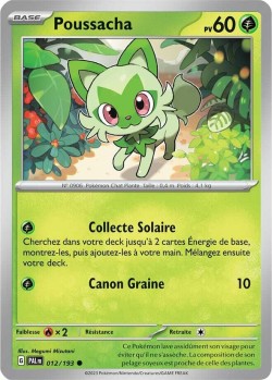 Carte Pokémon: Poussacha