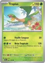 Carte Pokémon: Tropius