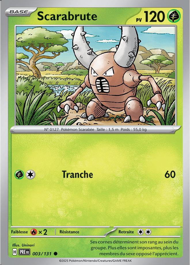 Carte Pokémon: Scarabrute