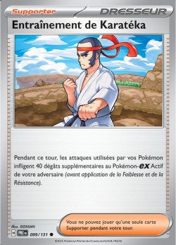 Carte Pokémon: Entraînement de Karatéka