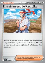 Carte Pokémon: Entraînement de Karatéka