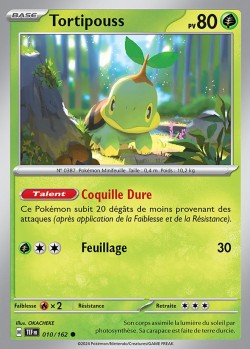 Carte Pokémon: Tortipouss