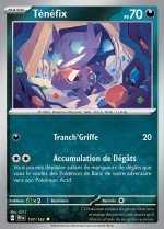 Carte Pokémon: Ténéfix