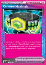 Carte Pokémon: Ceinture Maximale