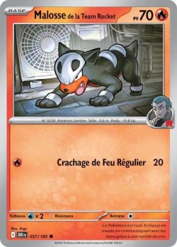 Carte Pokémon: Malosse de la Team Rocket