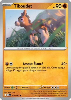Carte Pokémon: Tiboudet