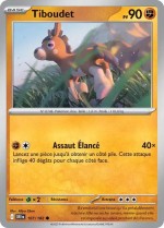 Carte Pokémon: Tiboudet