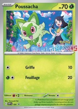 Carte Pokémon: Poussacha