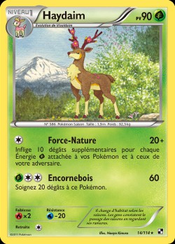 Carte Pokémon: Haydaim