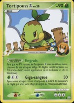 Carte Pokémon: Tortipouss