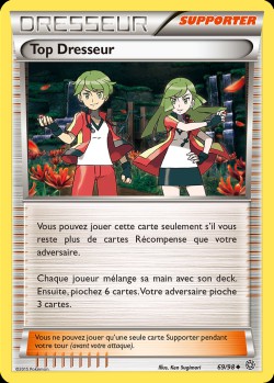 Carte Pokémon: Top Dresseur