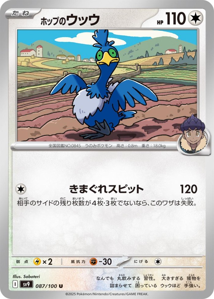 Carte Pokémon: ホップの ウッウ [Nigosier de Nabil]