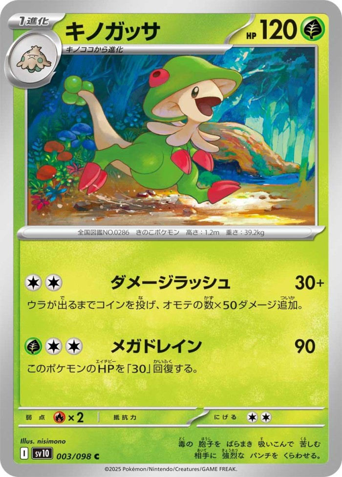 Carte Pokémon: キノガッサ [Chapignon]