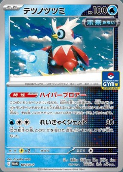 Carte Pokémon: Hotte-de-Fer