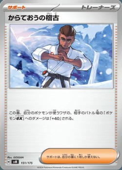 Carte Pokémon: Entraînement de Karatéka