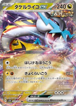 Carte Pokémon: Ire-Foudre ex