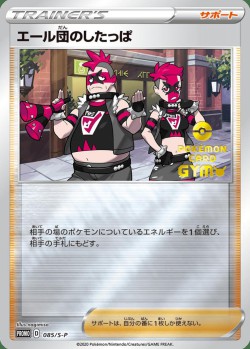 Carte Pokémon: Sbire de la Team Yell