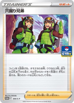 Carte Pokémon: Trou Brothers