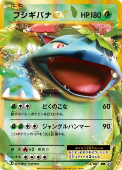 Carte Pokémon: Florizarre EX