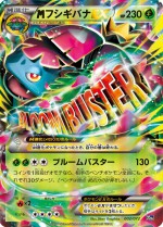 Carte Pokémon: Florizarre