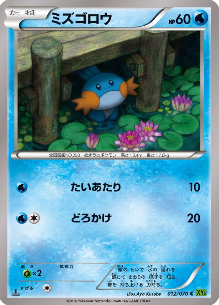 Carte Pokémon: ミズゴロウ [Gobou]